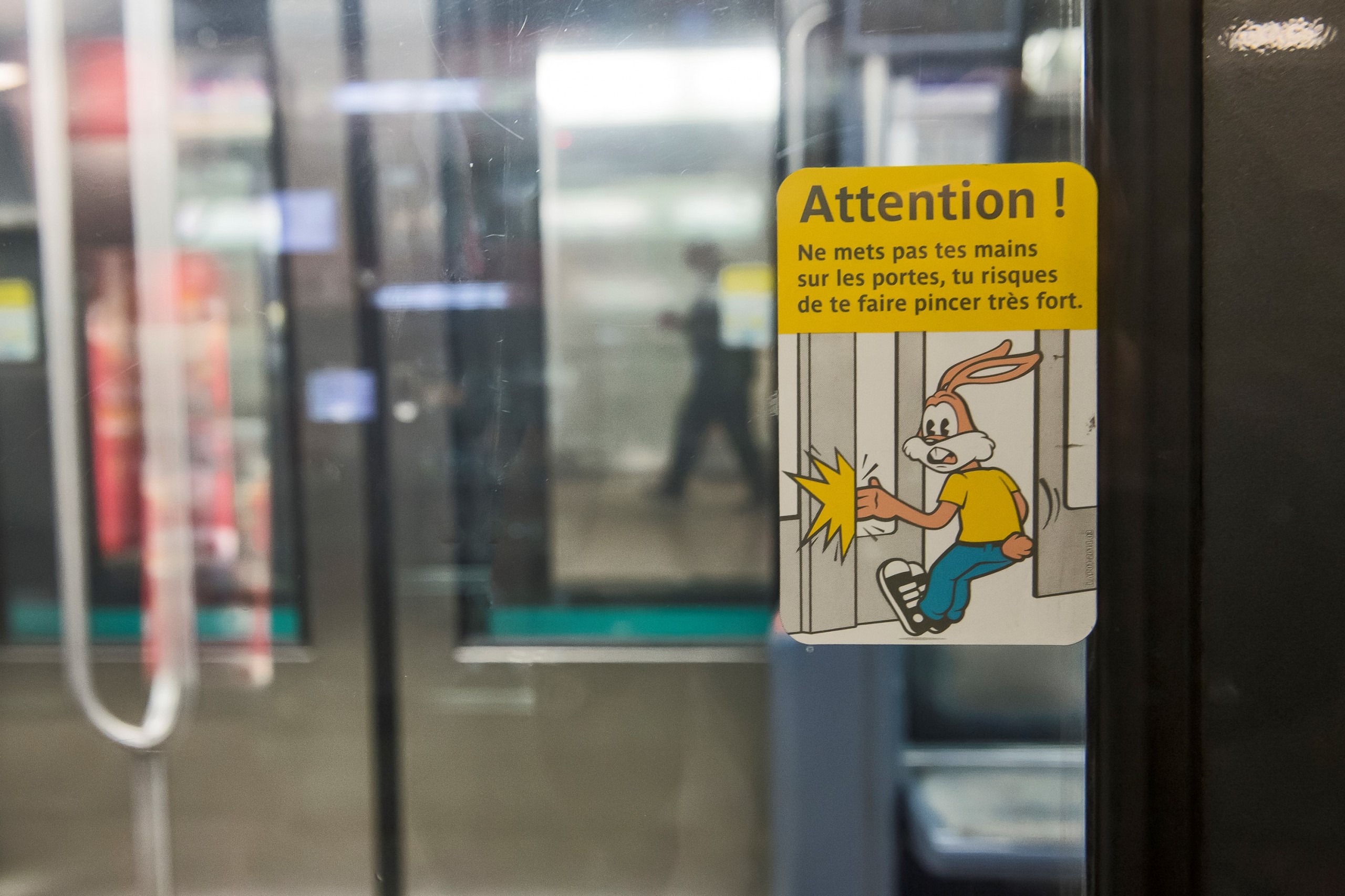 Visuel Quelle est l’histoire de Serge le lapin ?